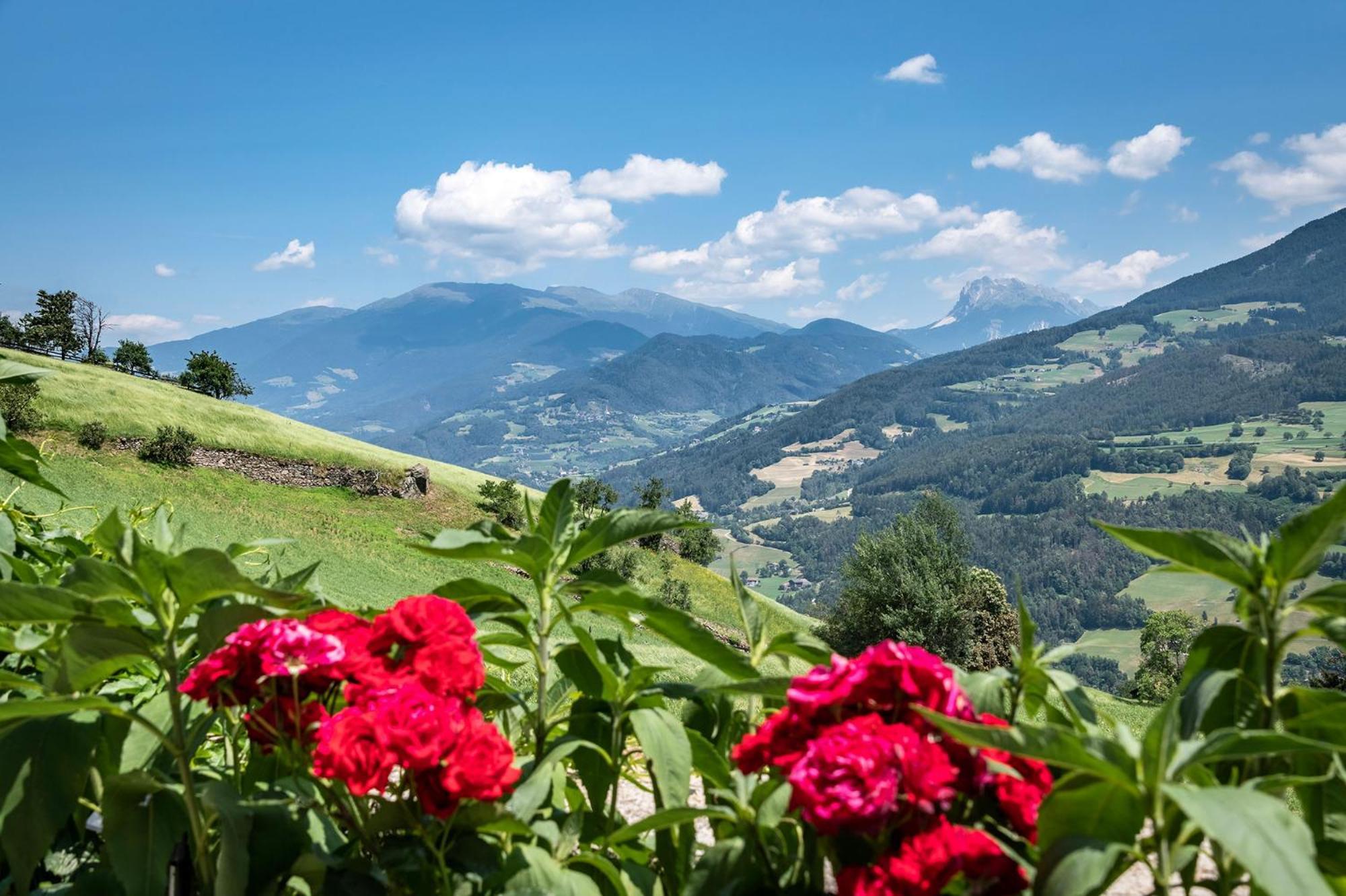Hauserhof Chalet In Villanders - Moderne Wohnungen Mit 2 Badezimmer Und 2 Schlafzimmer Dış mekan fotoğraf